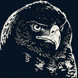 Night Eagle